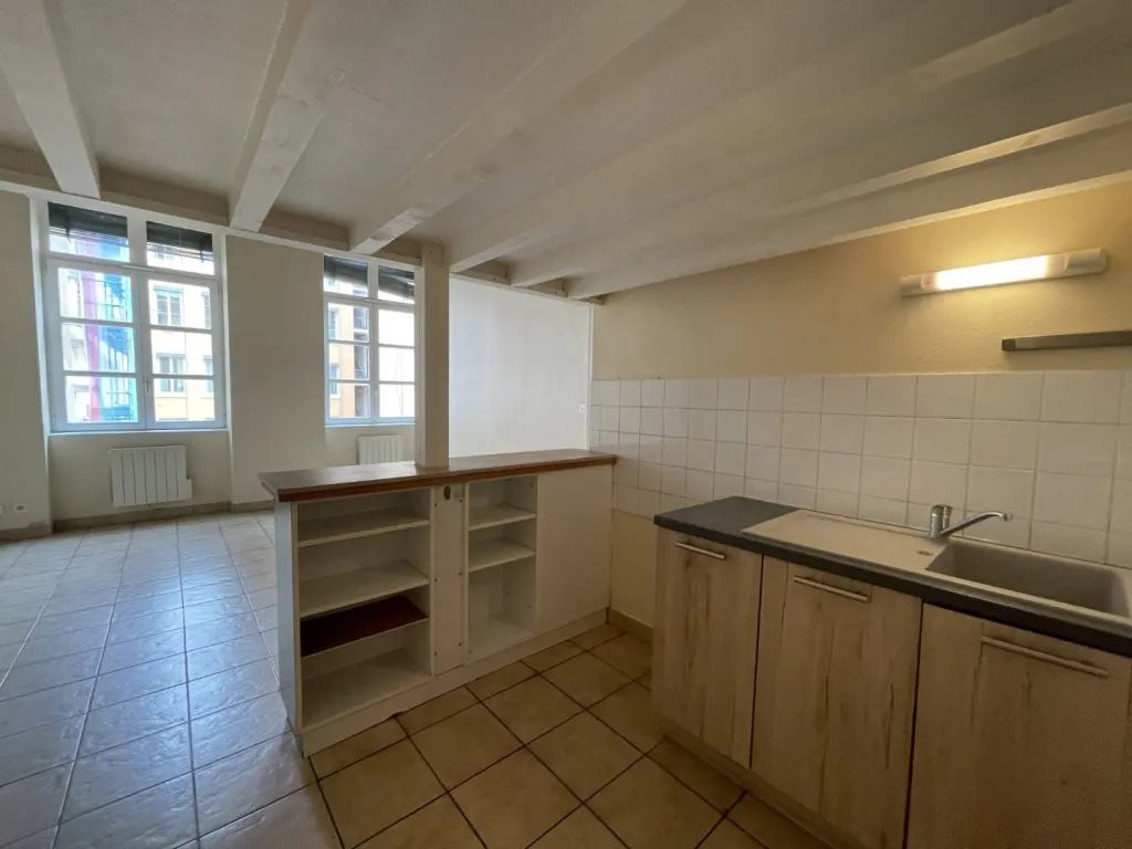 Appartement à louer, 51m², Lyon 4ème
