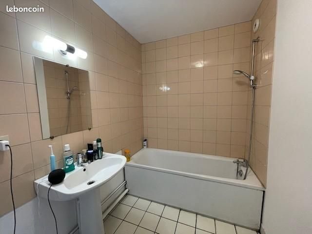 Appartement à louer, 50m², Villeurbanne