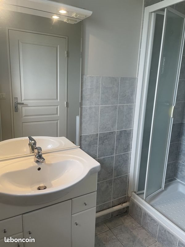 Appartement à louer, 45m², Saint-Berthevin
