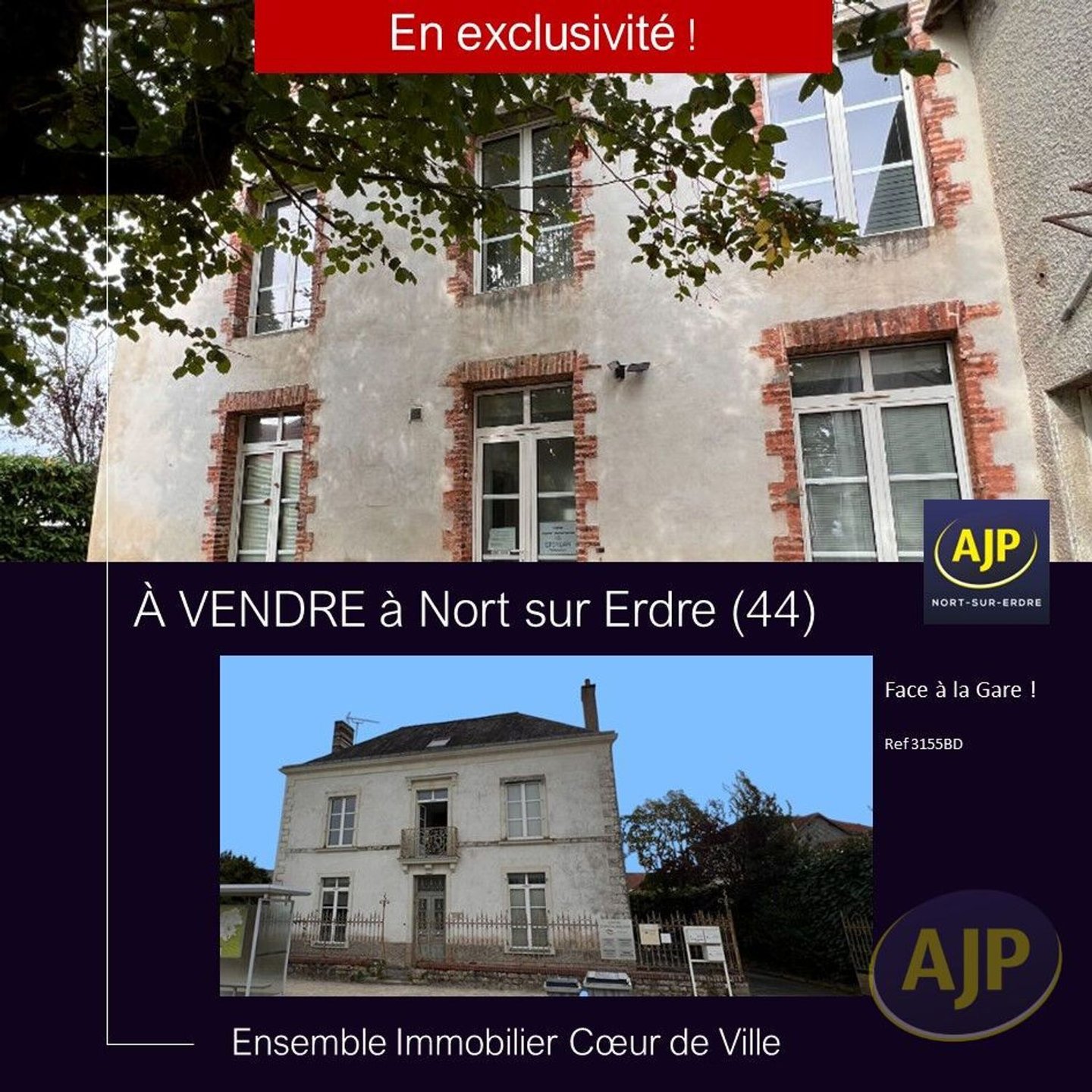 Maison à vendre, 351m², Nort-sur-Erdre