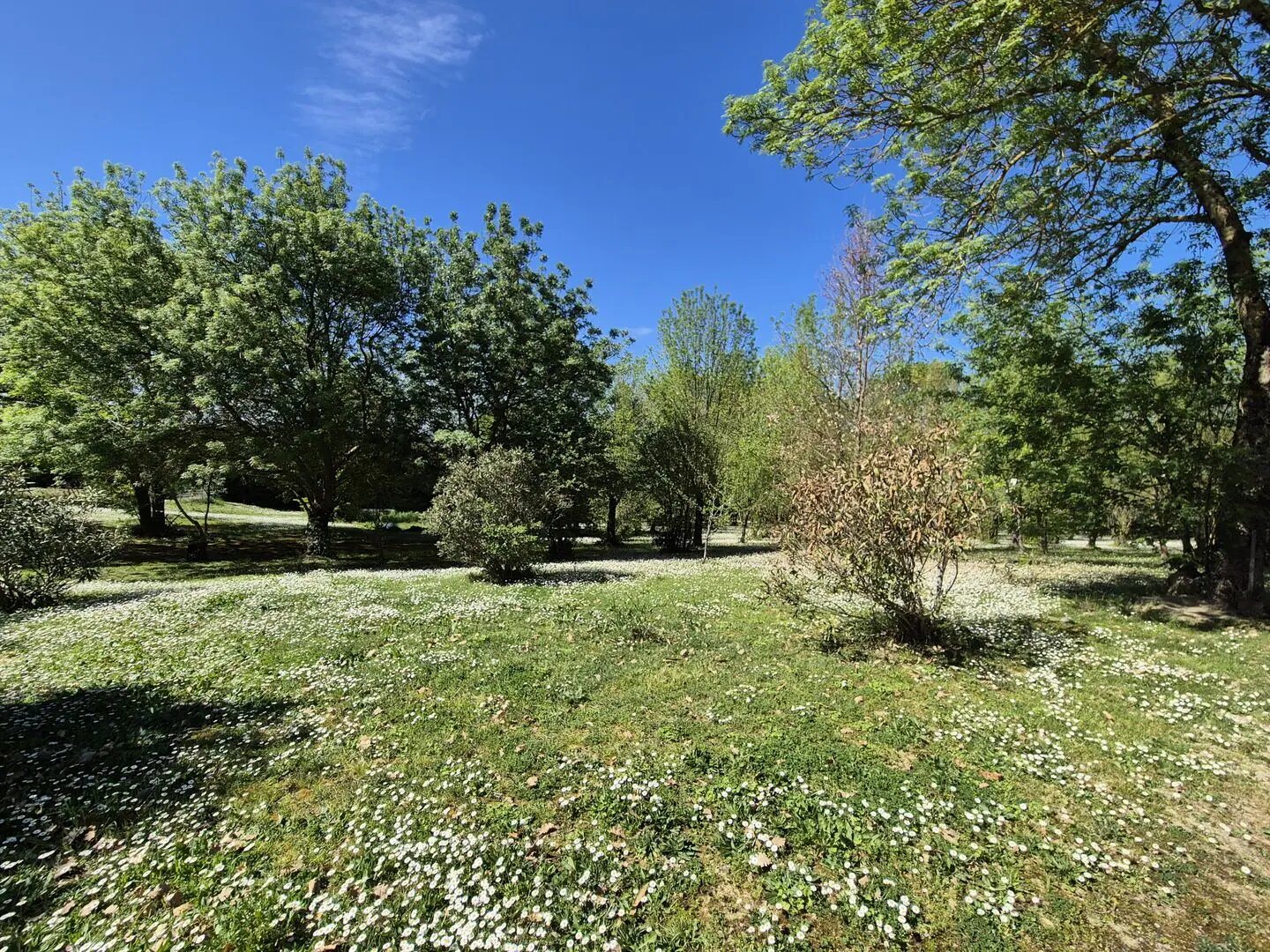 Maison à vendre, 130m², Castelnaudary