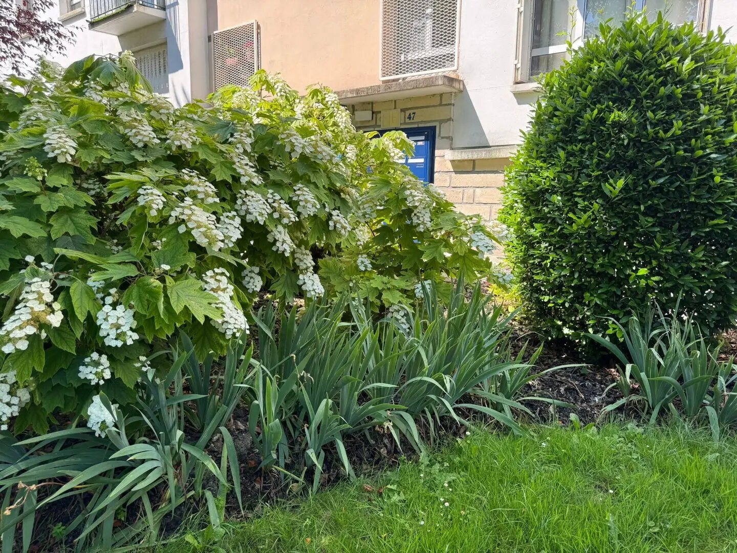 Appartement à vendre, 65m², Rueil-Malmaison