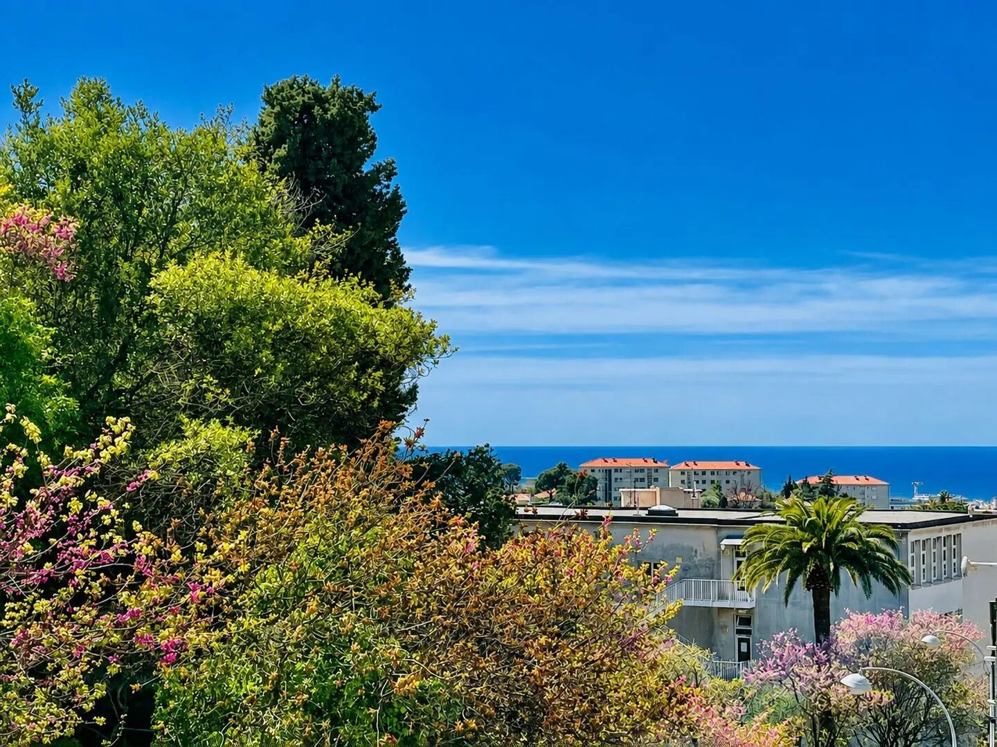 Appartement à louer, 28m², Nice