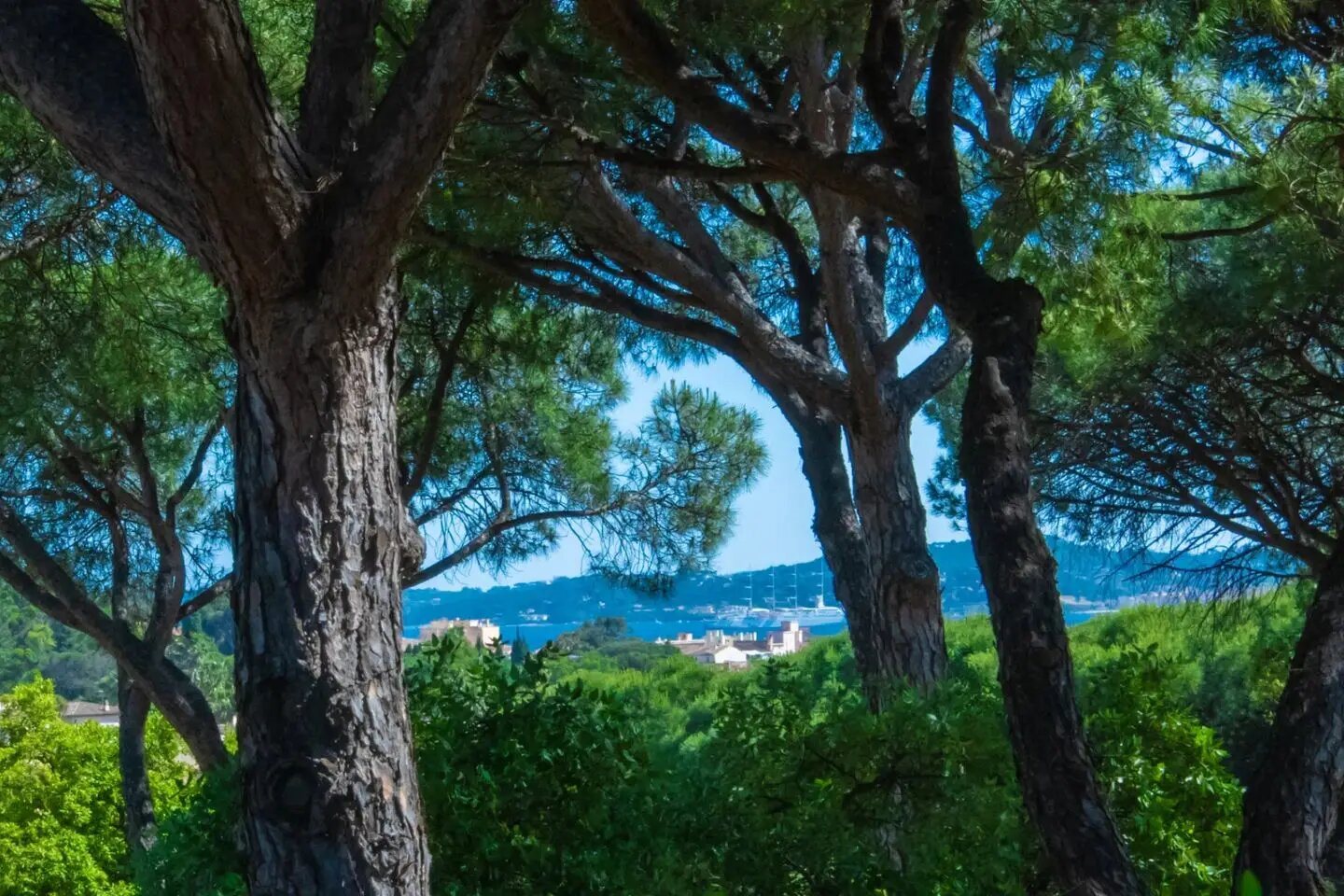 Appartement à vendre, 53m², Sainte-Maxime