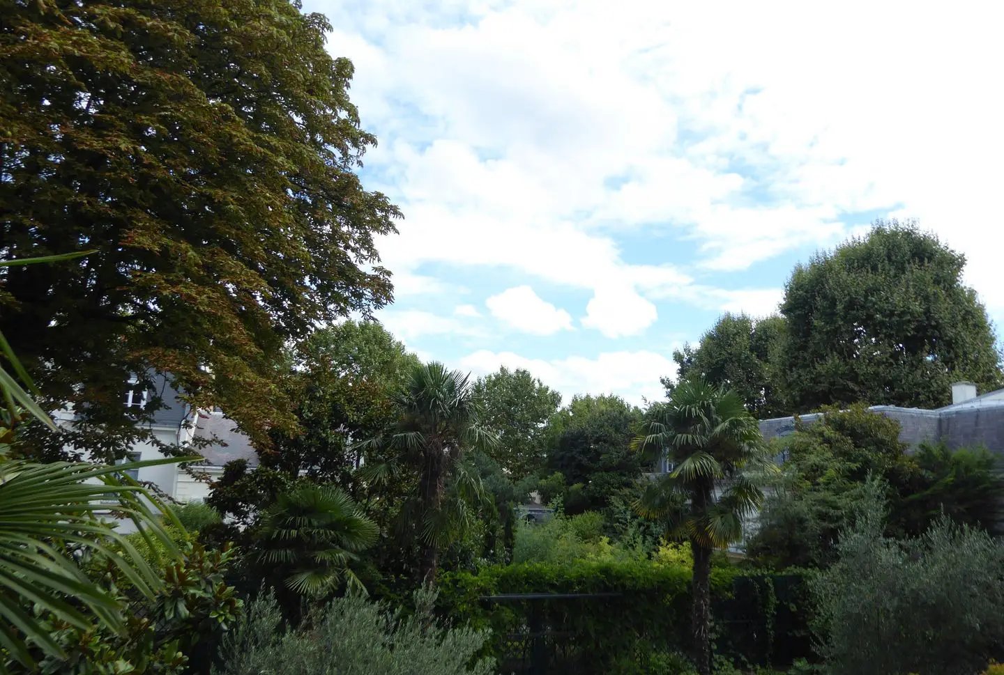 Appartement à louer, 38m², Neuilly-sur-Seine