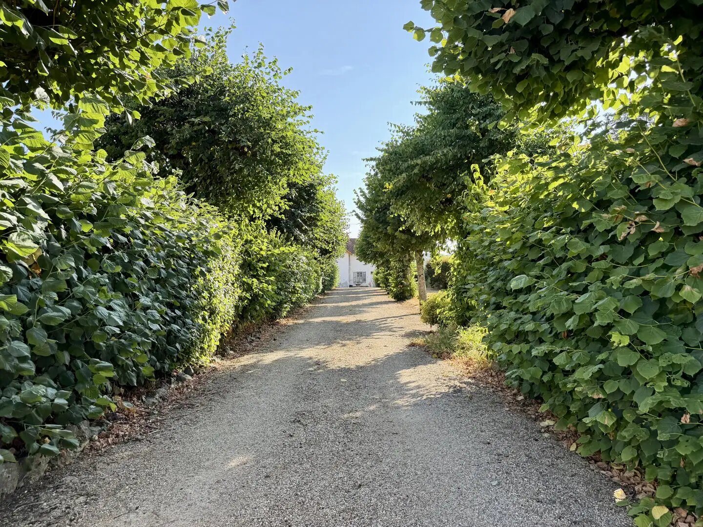 Maison à vendre, 230m², Paray-le-Monial