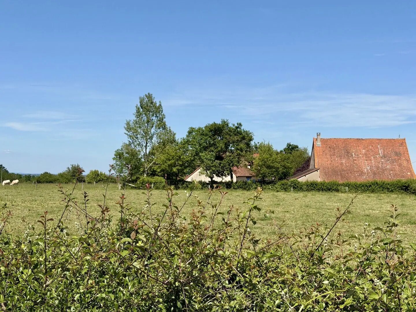 Maison à vendre, 219m², Paray-le-Monial