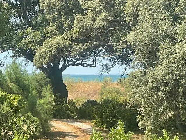 Maison à vendre, 100m², Châtelaillon-Plage