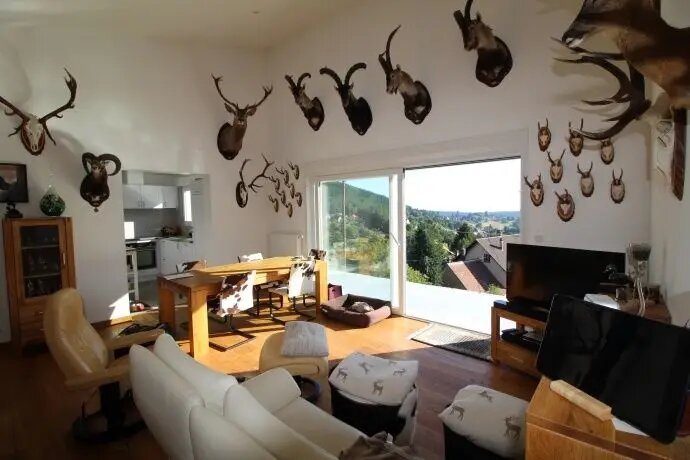 Maison à vendre, 125m², Wangenbourg-Engenthal