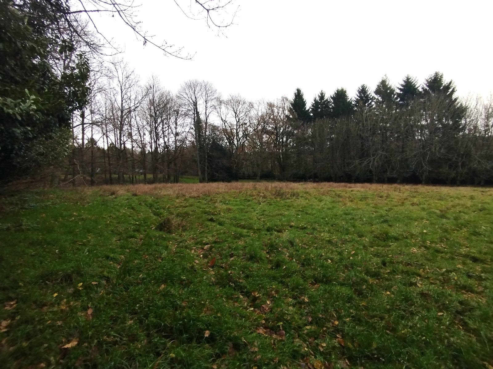 Maison à vendre, 1m², Saint-Sauveur-des-Landes