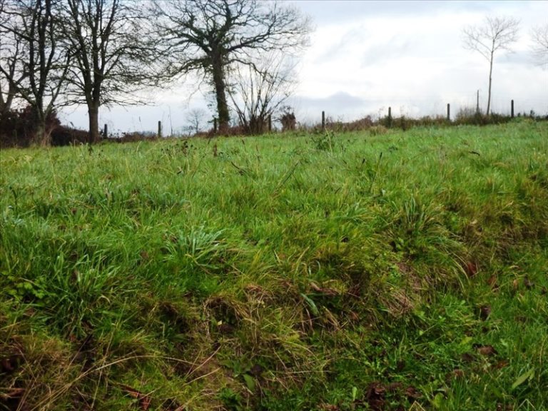 Maison à vendre, 990m², La Bazouge-du-Désert