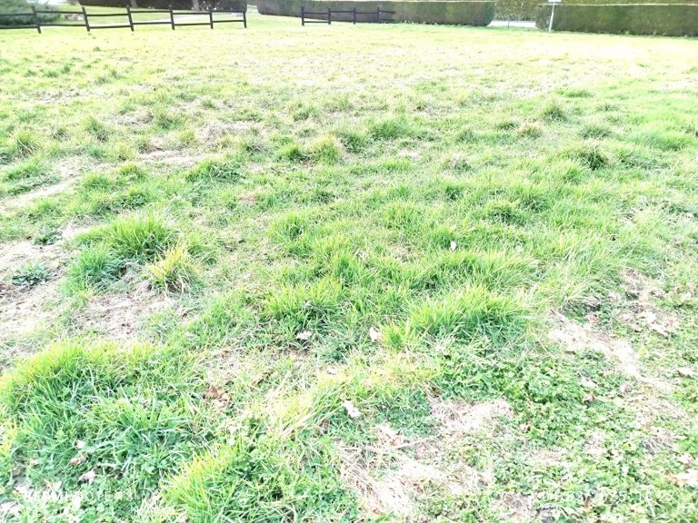 Maison à vendre, 1200m², Maen Roch