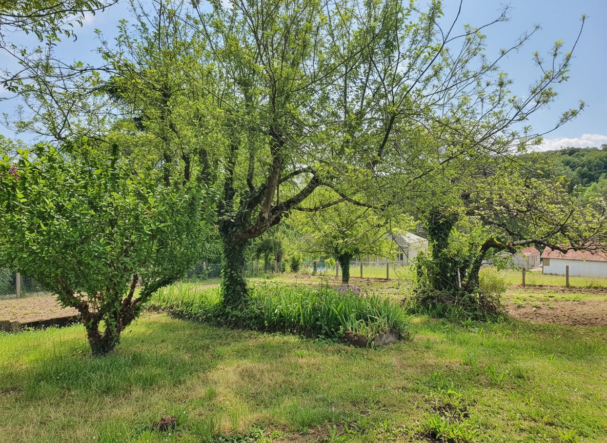 Maison à vendre, 155m², Saint-Aignan