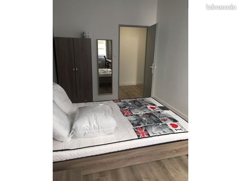 Appartement à louer, 37m², Saint-Etienne