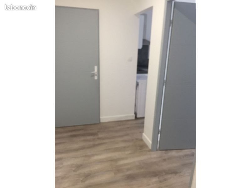 Appartement à louer, 37m², Saint-Etienne