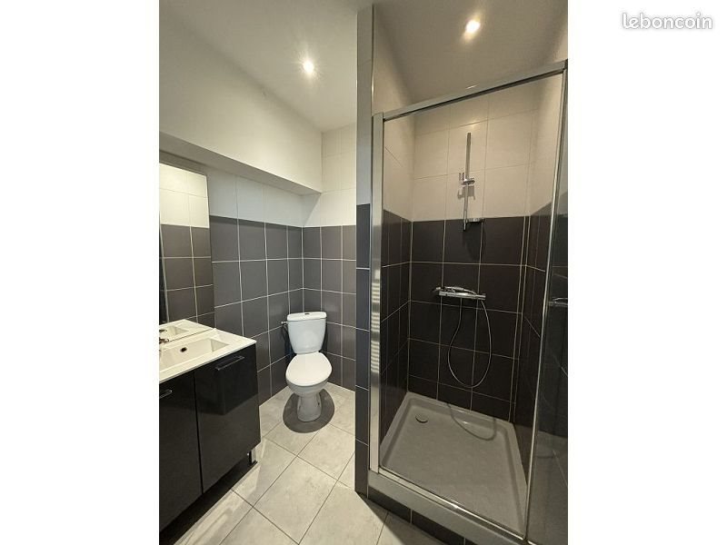 Appartement à louer, 45m², Saint-Etienne