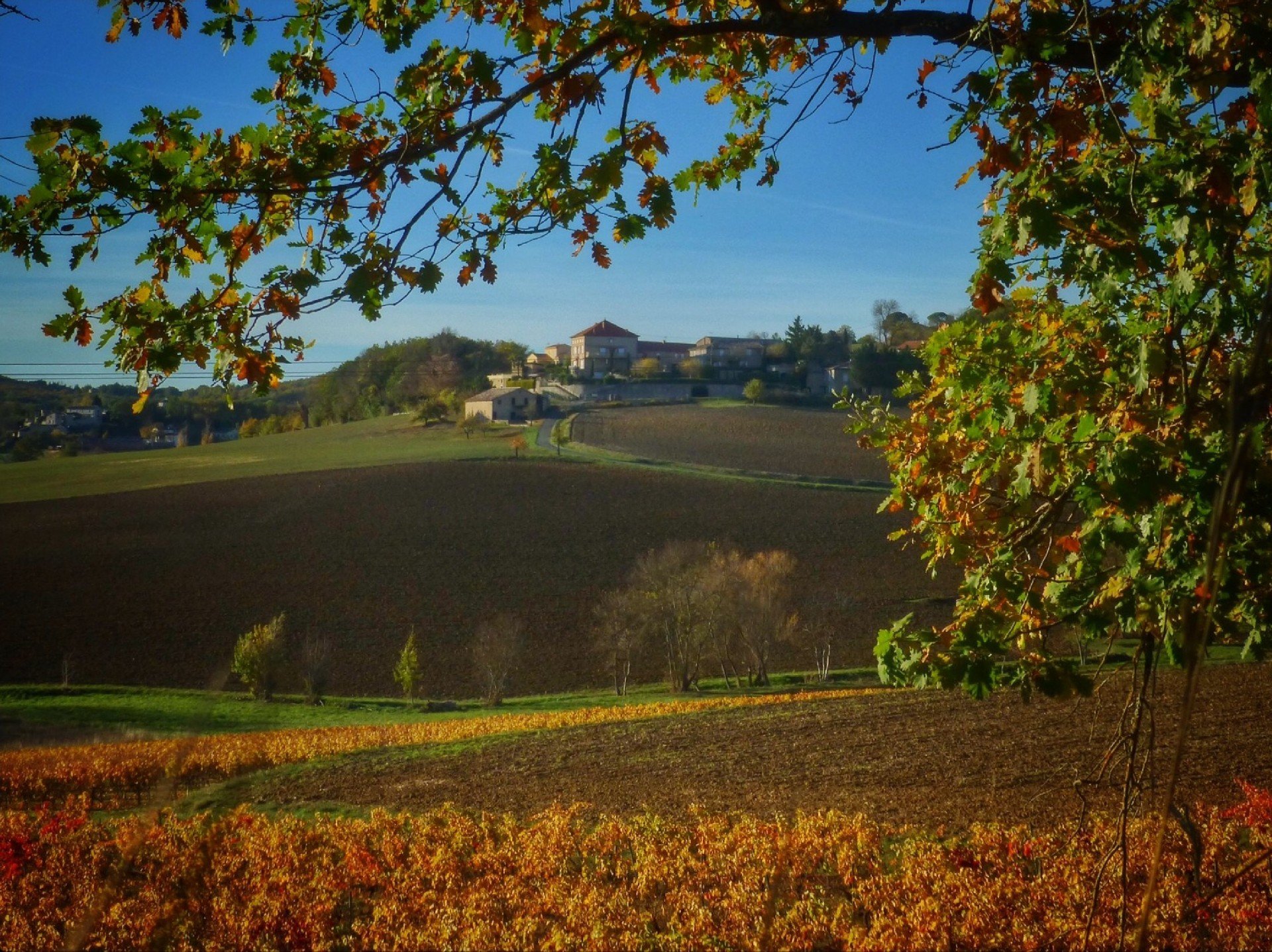 Maison à vendre, 10m², Albi