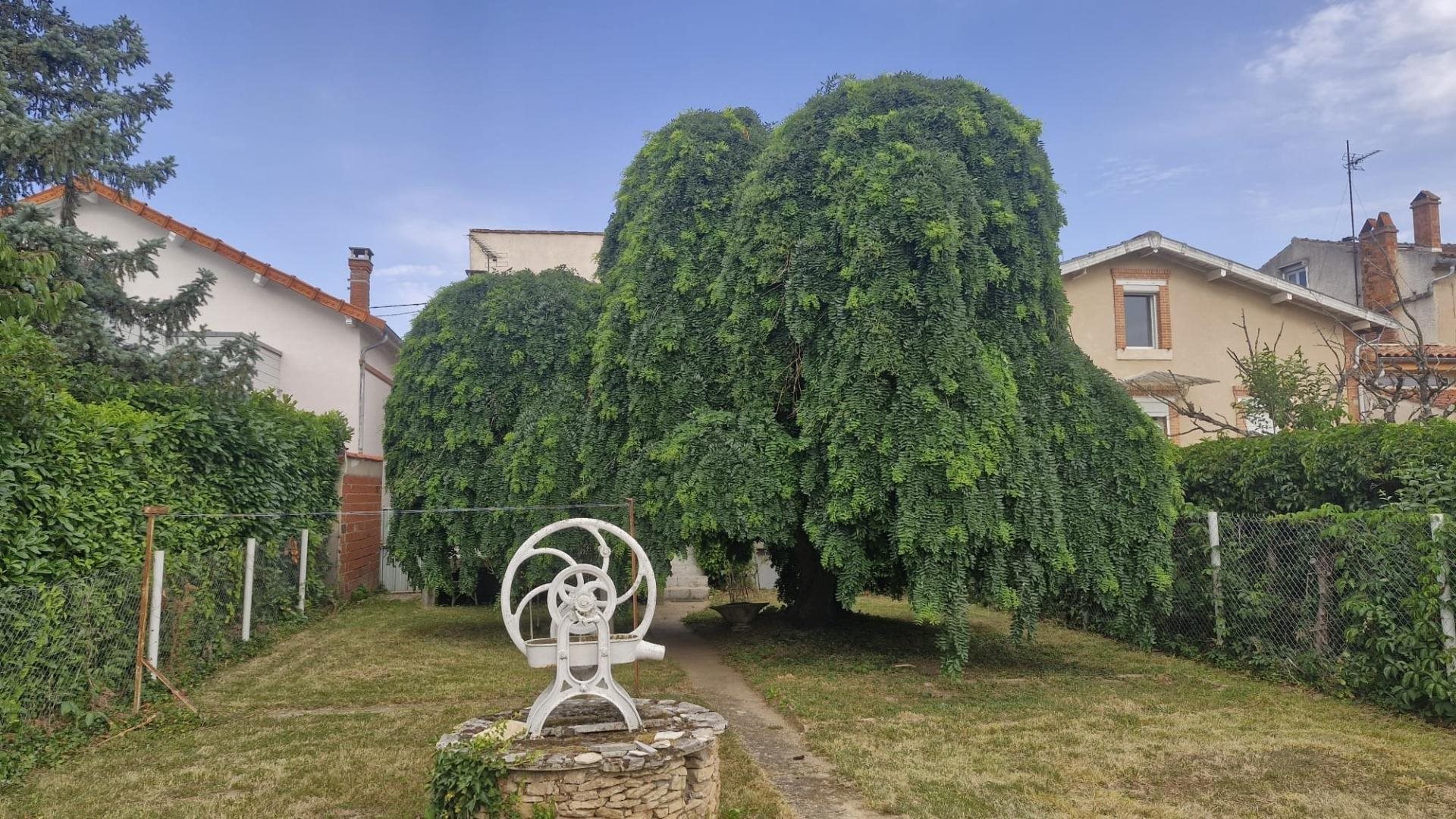 Maison à vendre, 120m², Castres
