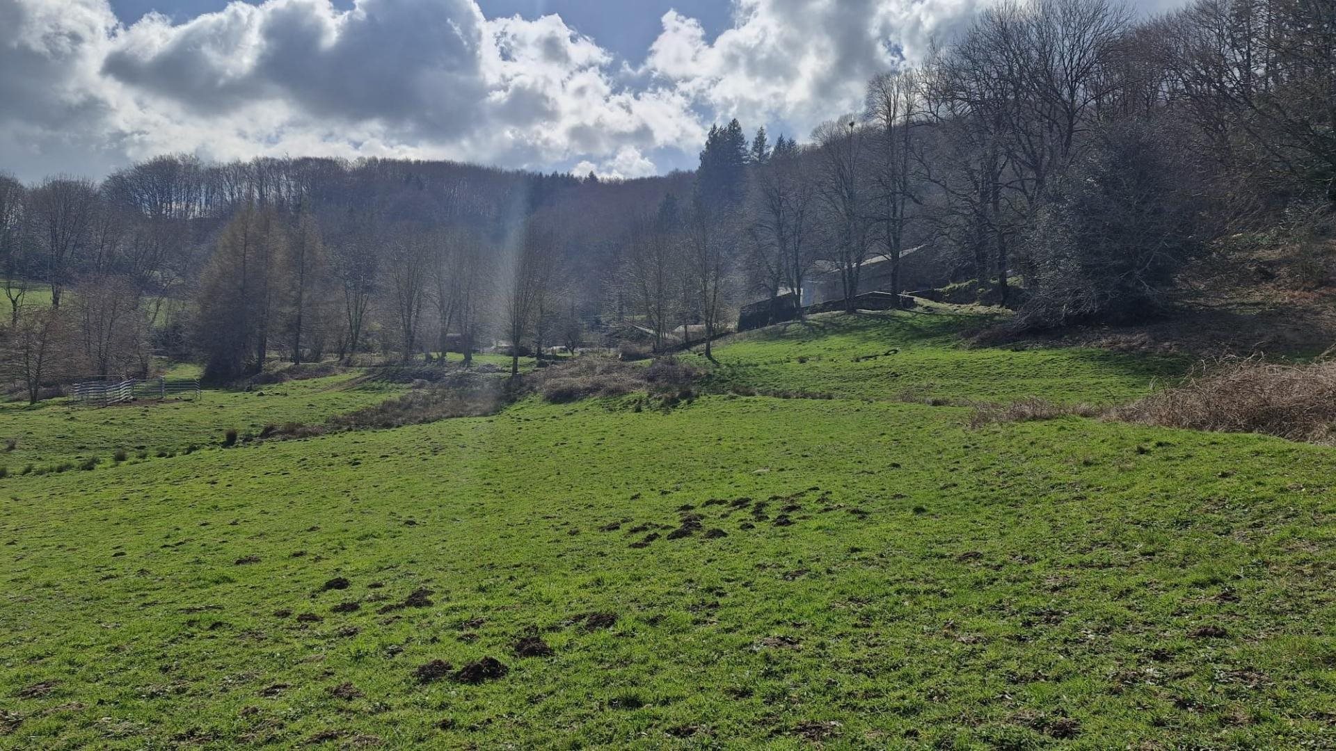 Maison à vendre, 207m², Fraisse-sur-Agout