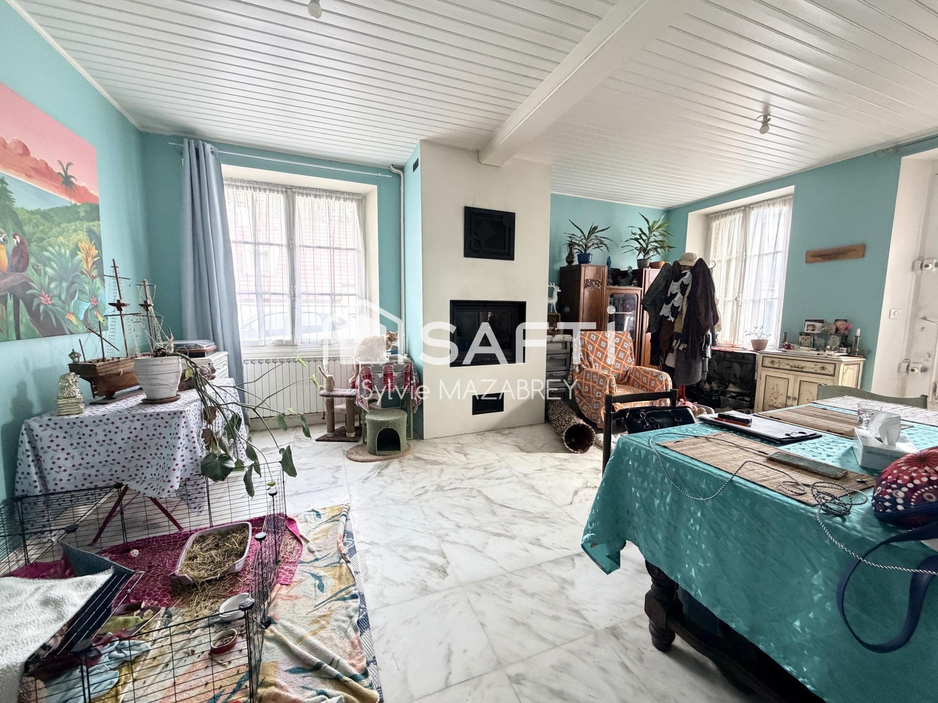 Maison à vendre, 120m², Les Ormes-sur-Voulzie
