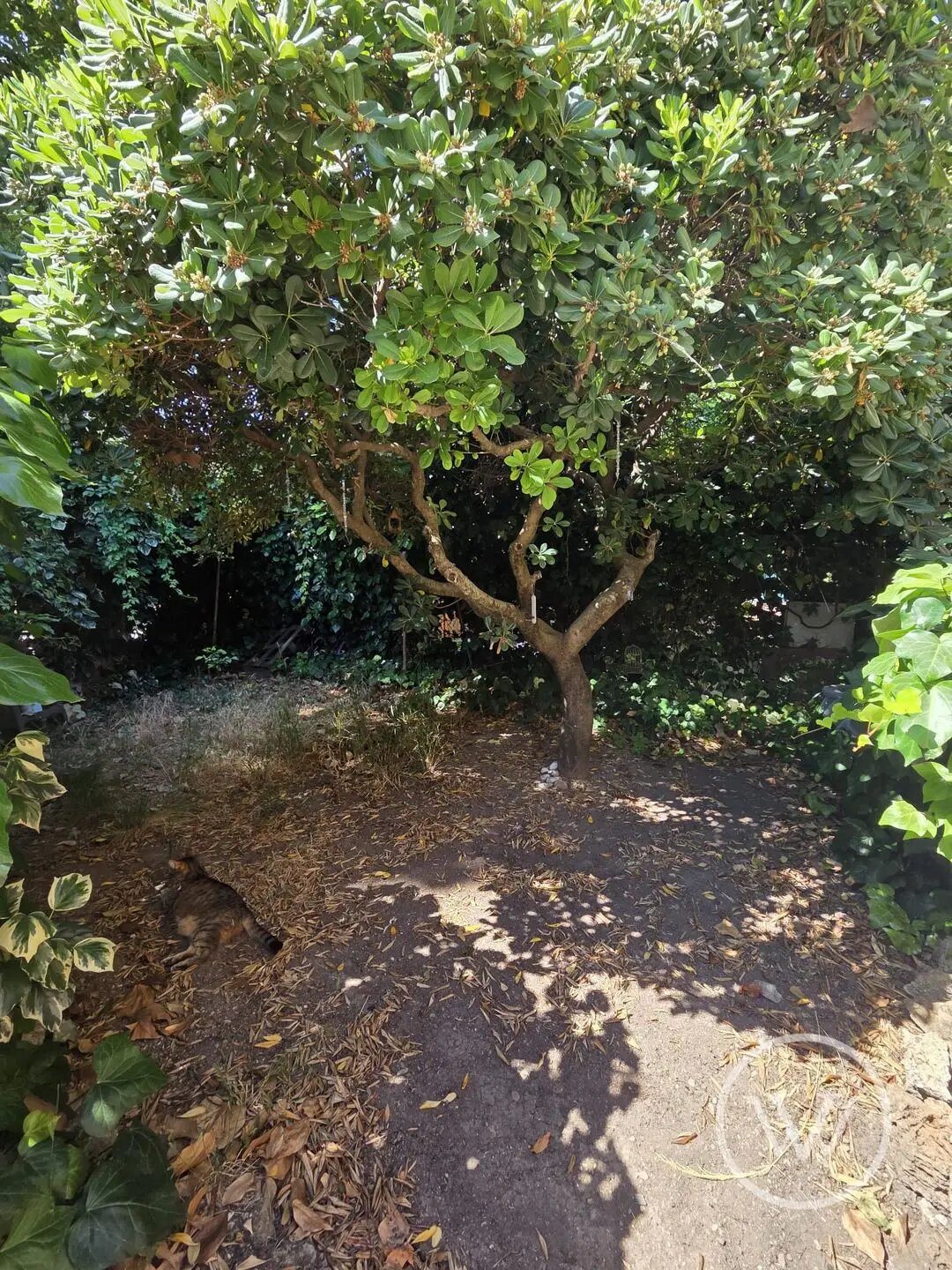 Maison à vendre, 126m², Carnoules