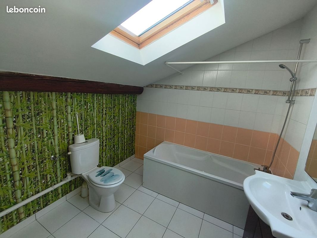 Appartement à louer, 61m², Pontpierre