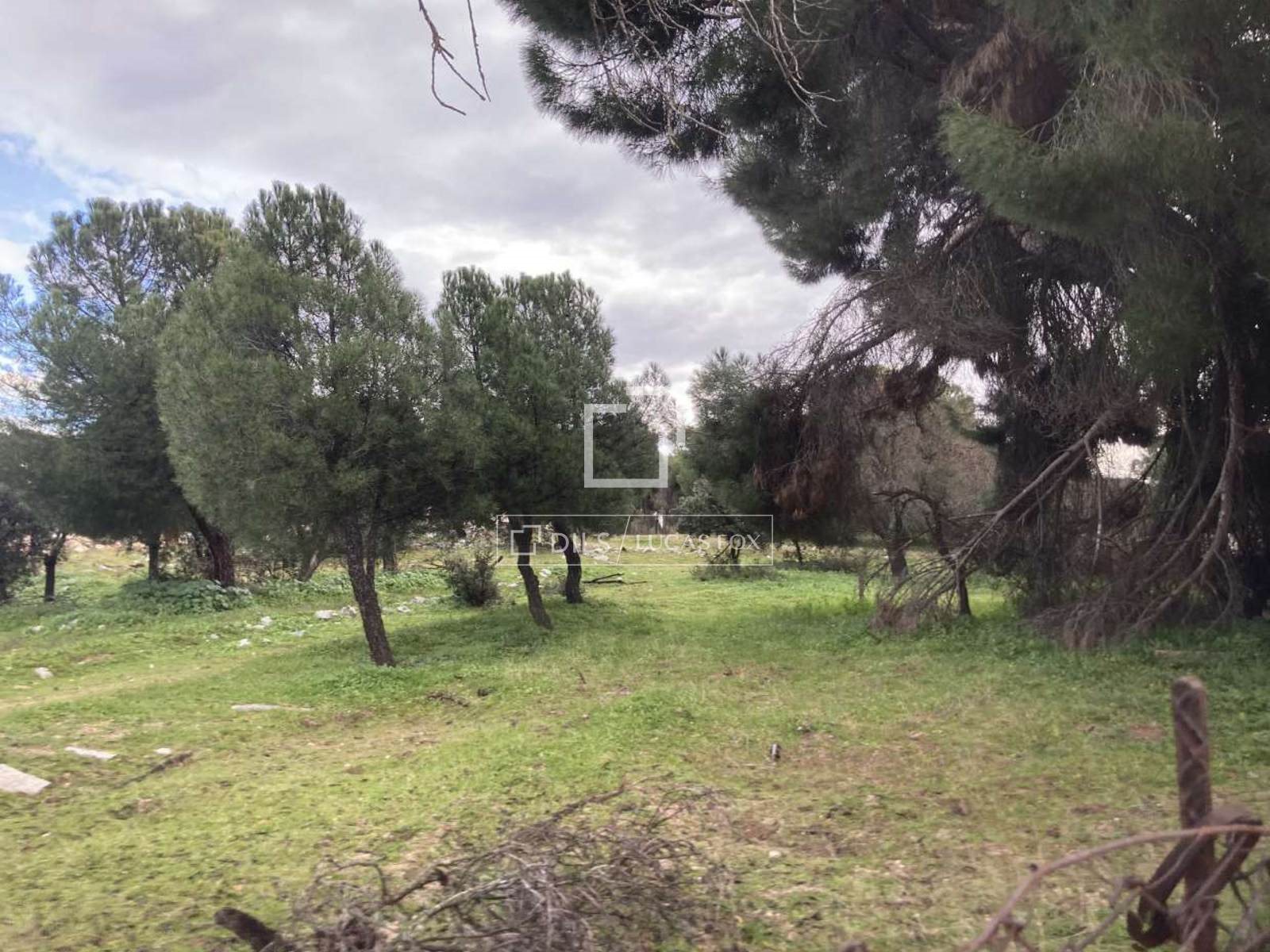 Fotografía 4