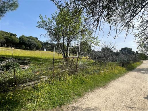 Inmueble en Majadahonda (Madrid)