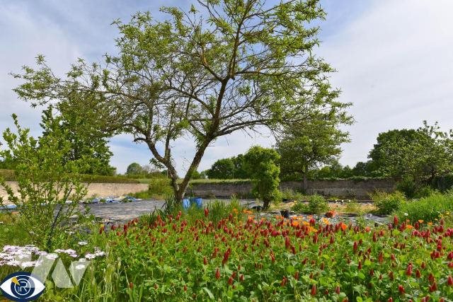 Maison à vendre, 141m², Mézangers