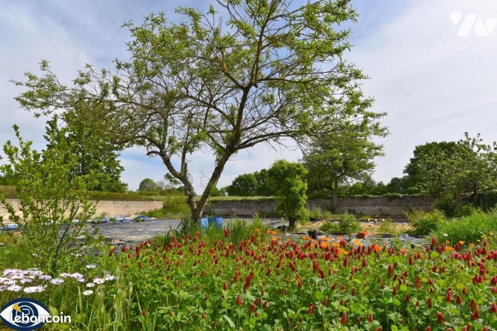 Maison à vendre, 141m², Mézangers
