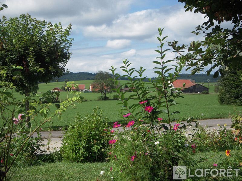 Maison à vendre, 180m², Frasne