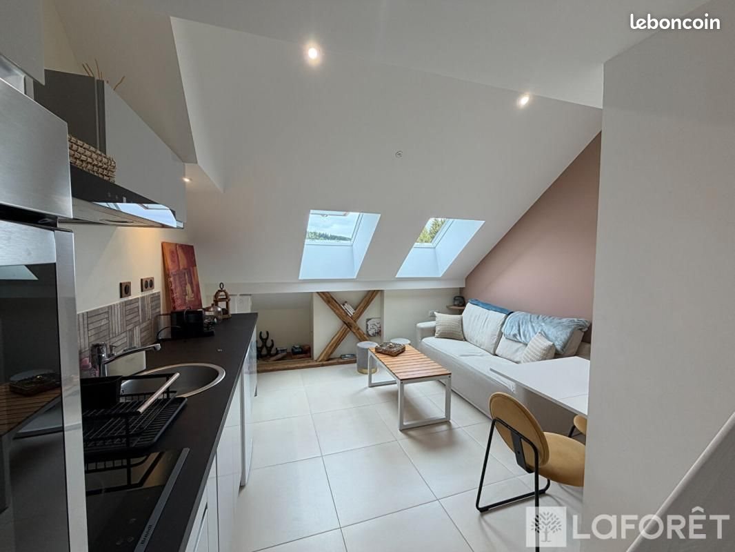 Appartement à louer, 19m², Oye-et-Pallet