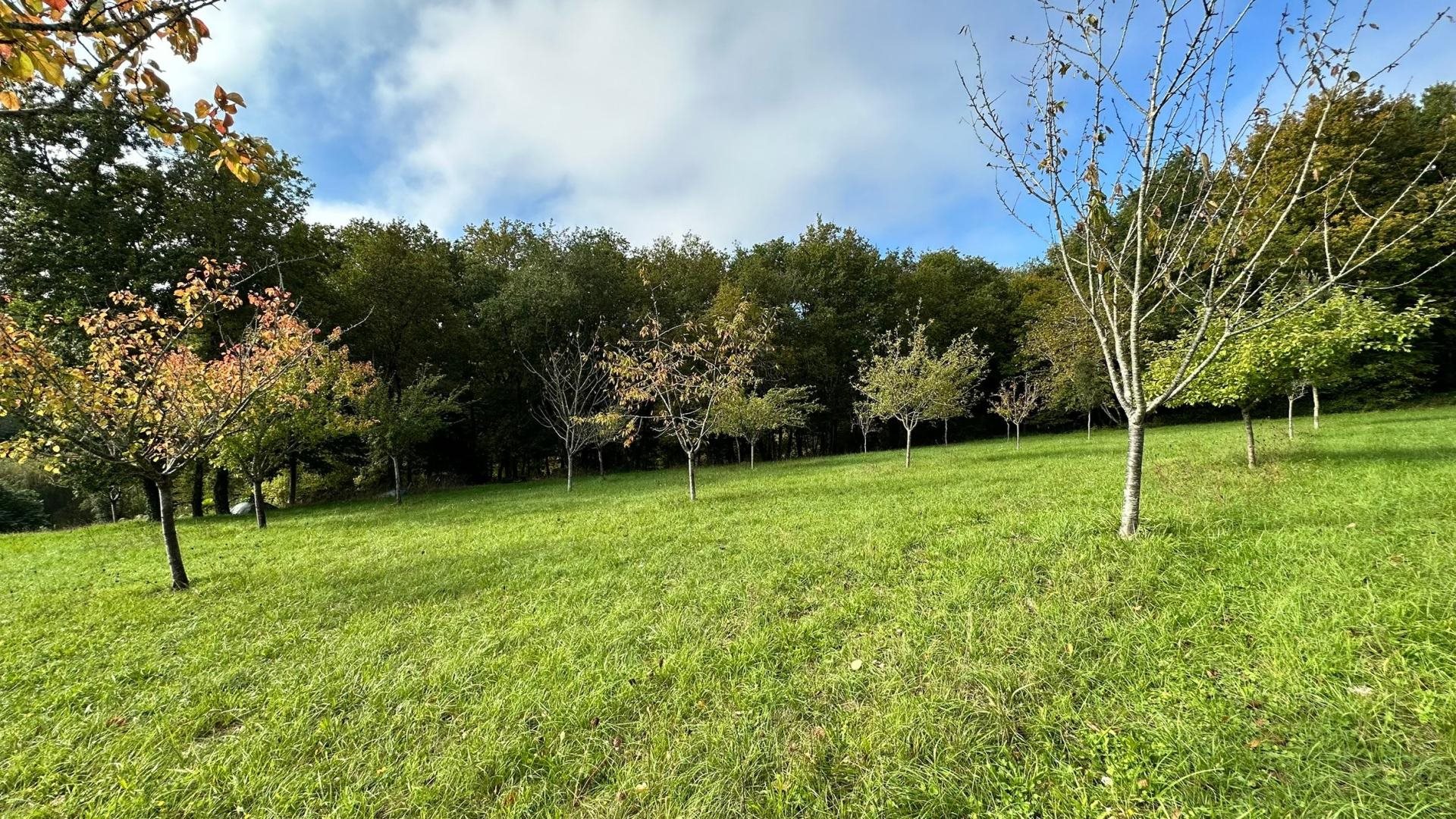 Maison à vendre, 145m², Saintes