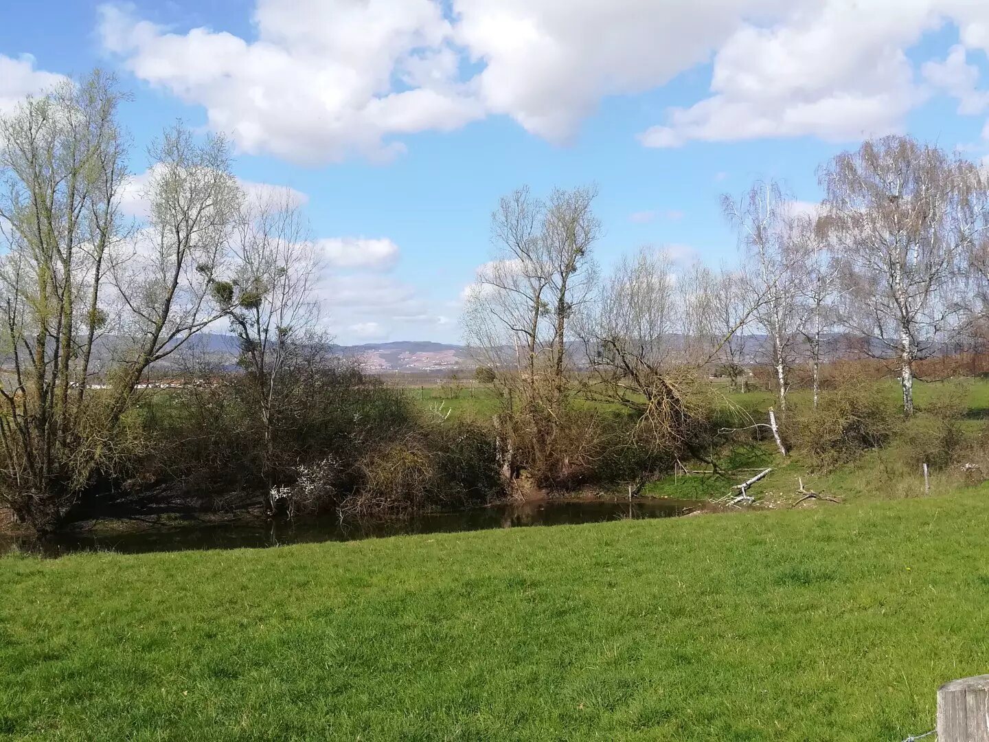 Maison à vendre, 399m², Saint-Didier-sur-Chalaronne