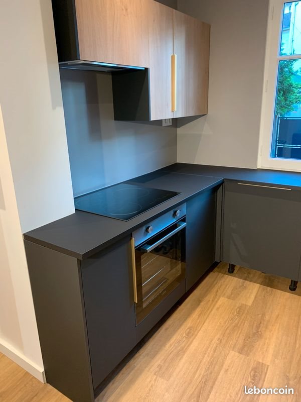 Appartement à louer, 20m², Lyon 8ème