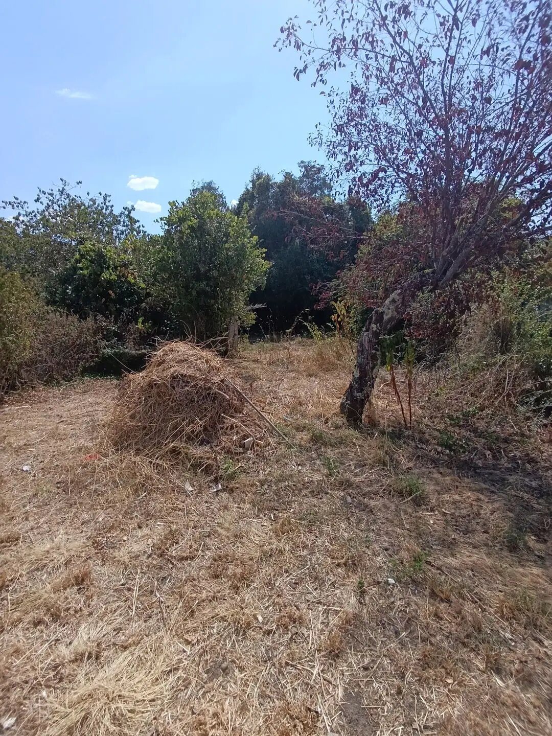 Maison à vendre, 48m², Vierzon