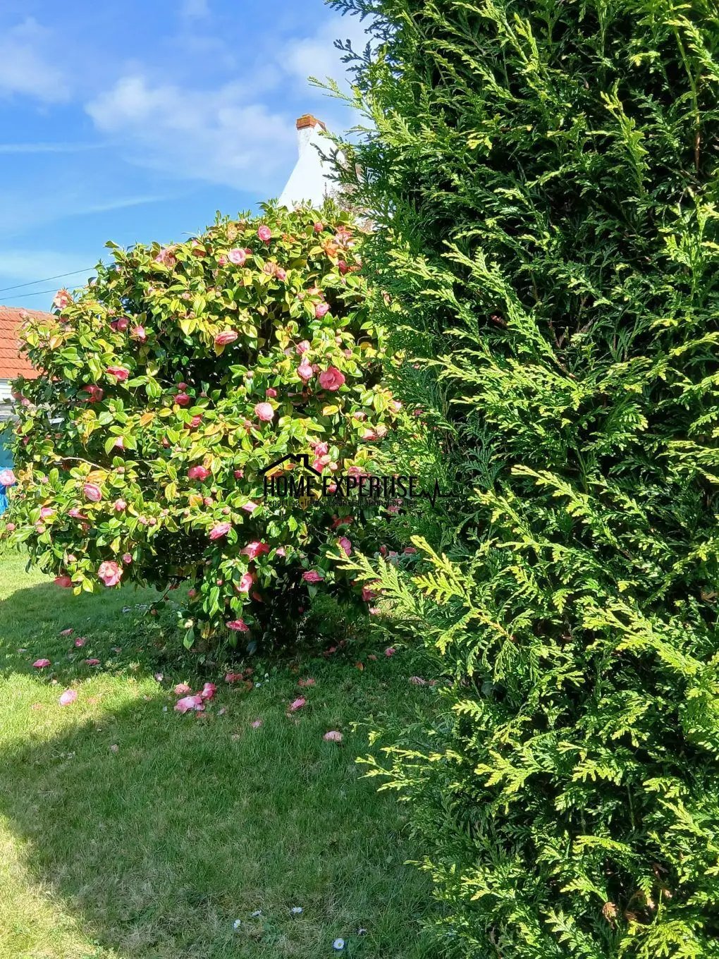 Maison à vendre, 80m², Le Havre
