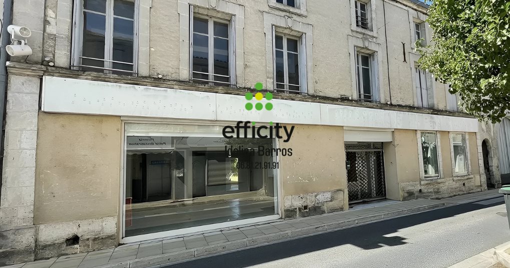 Maison à vendre, 350m², Aigre