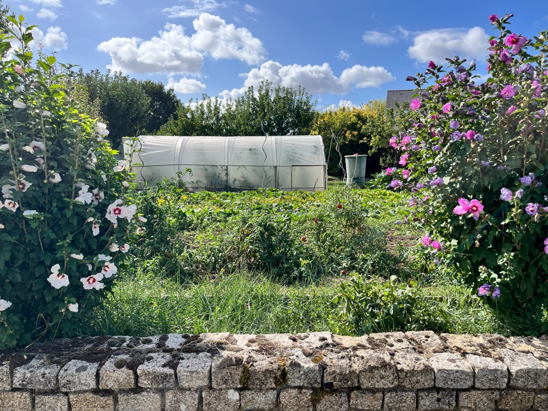 Maison à vendre, 100m², Le Plessis-Grammoire