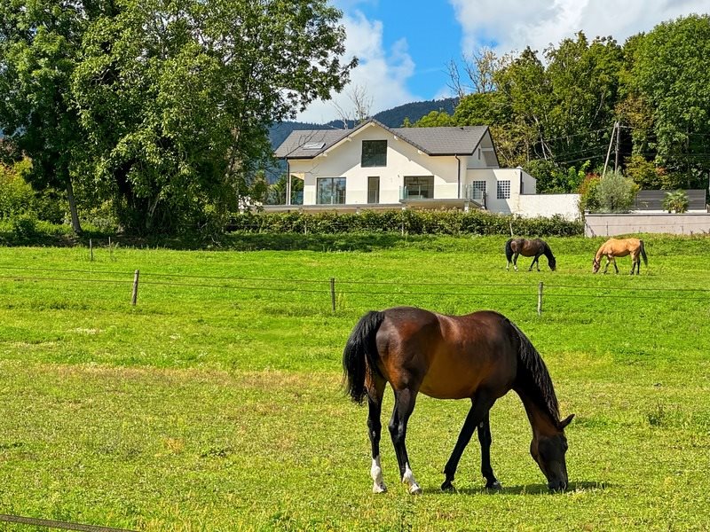 Maison à vendre, 234m², Divonne-les-Bains