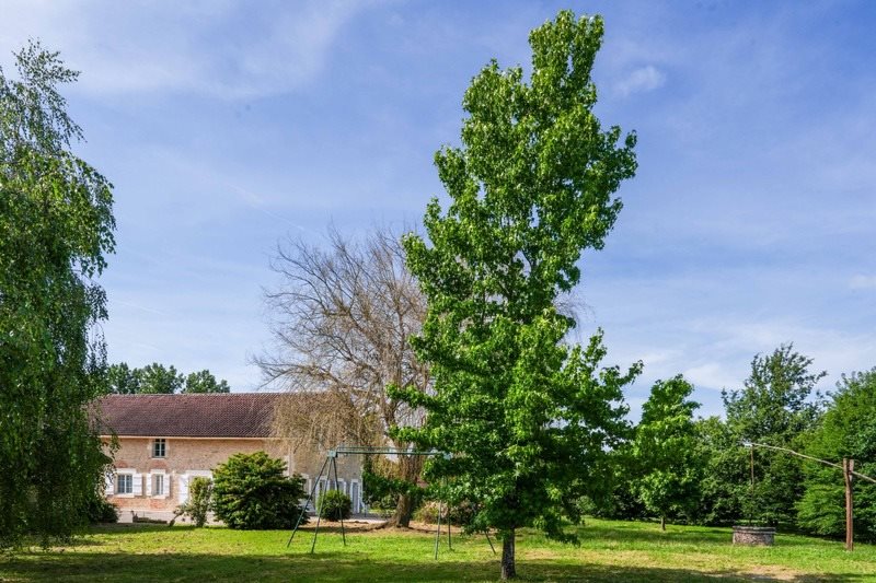 Maison à vendre, 430m², Mont-de-Marsan