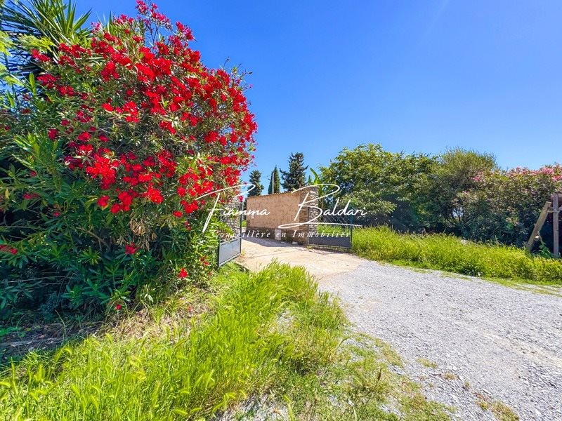 Appartement à louer, 63m², Lucciana