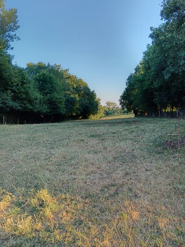 Maison à vendre, 80m², Ceaucé