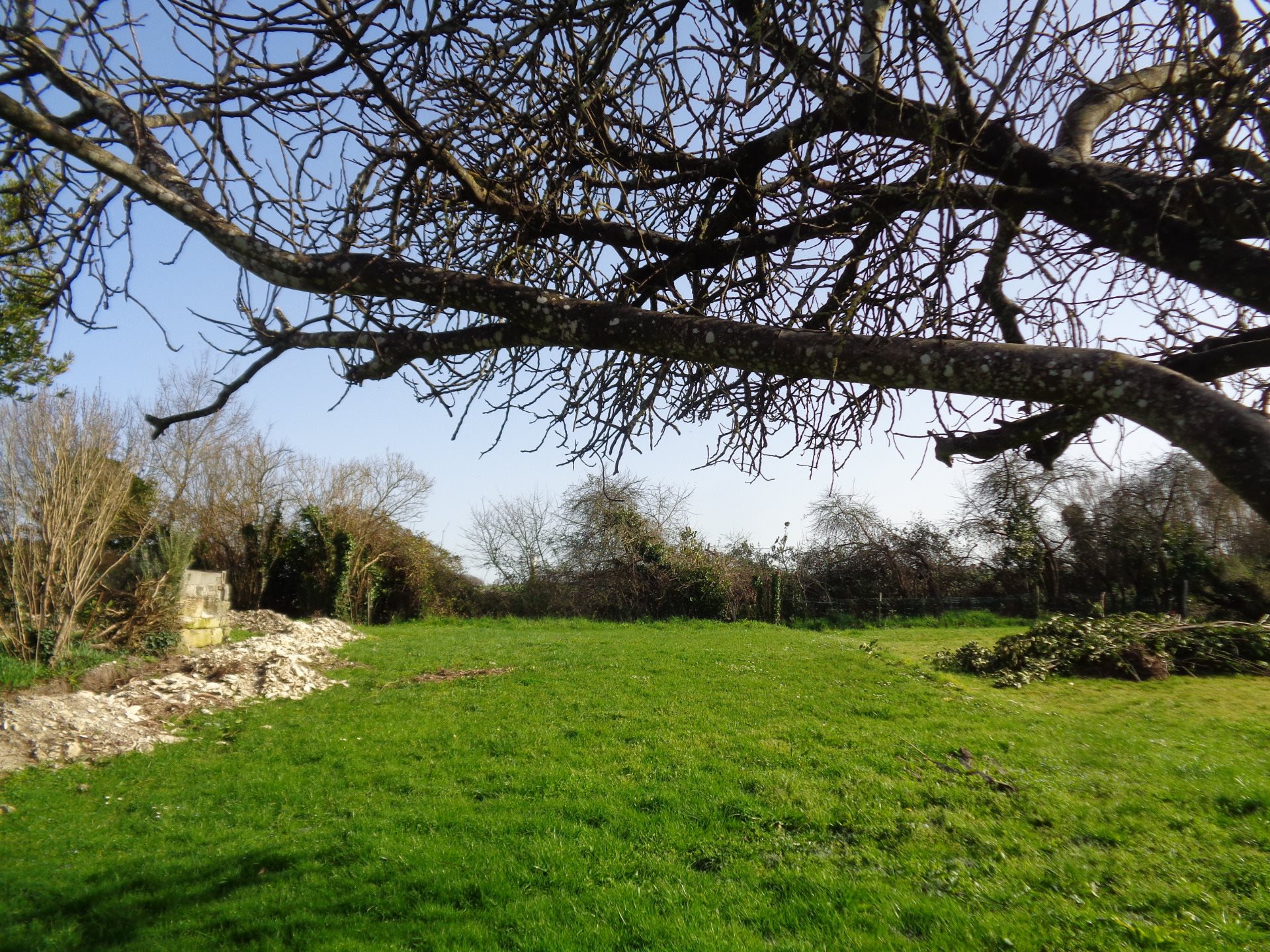 Maison à vendre, 48m², Saint-Dizant-du-Gua