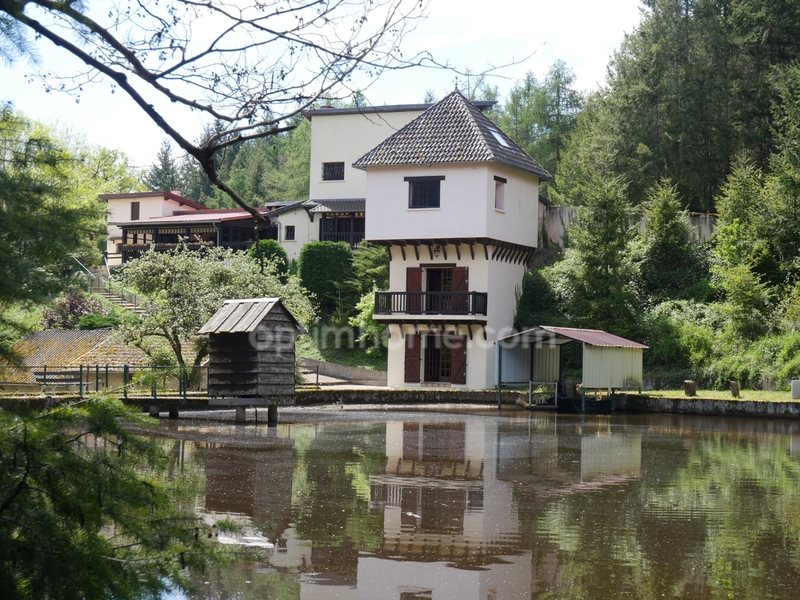 Maison à vendre, 200m², Gouzon