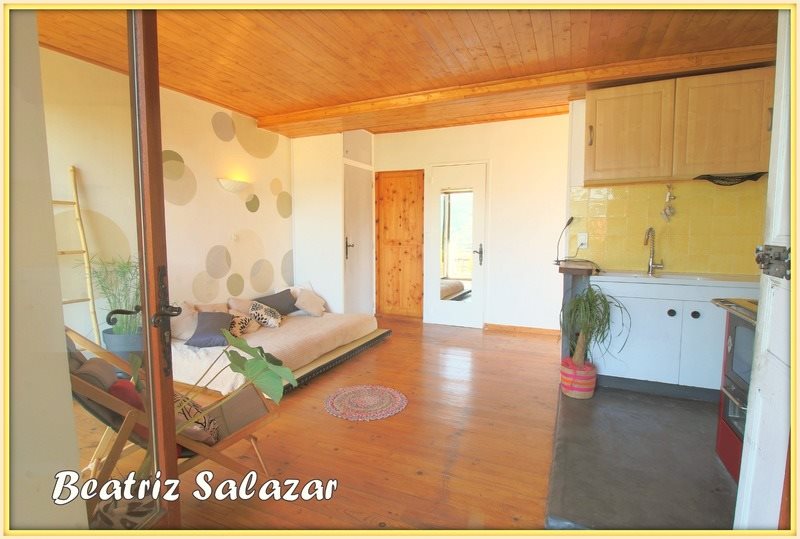 Appartement à vendre, 31m², Seyne (Le Grand Puy)