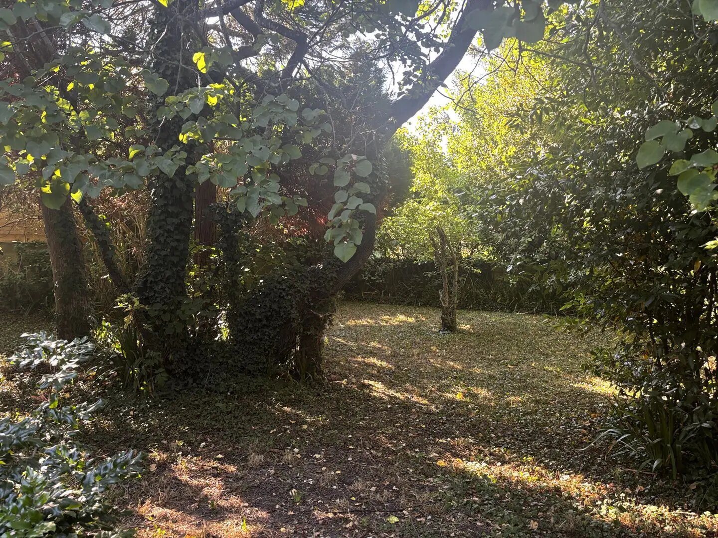 Maison à vendre, 63m², Dives-sur-Mer