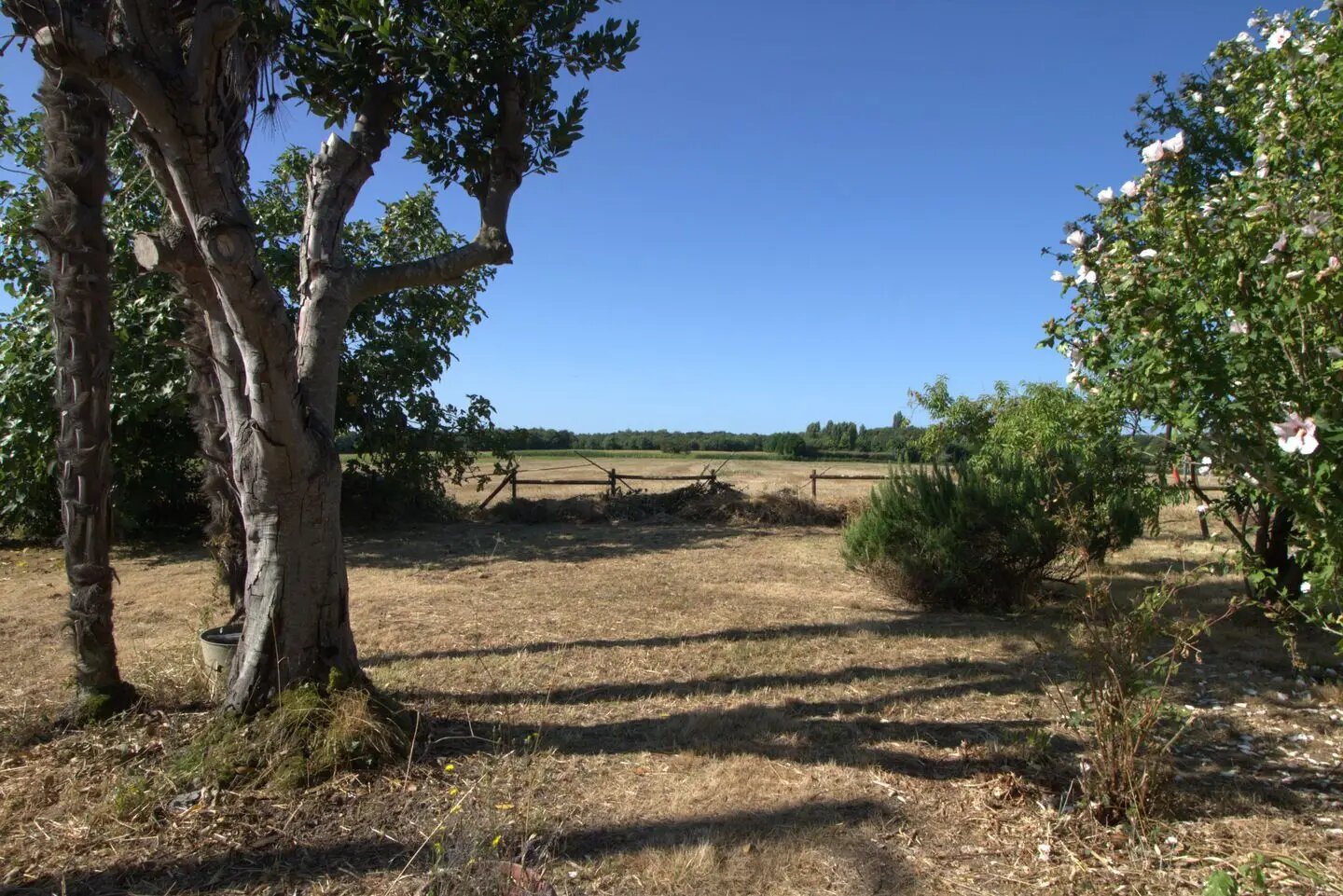 Maison à vendre, 168m², Nieul-lès-Saintes