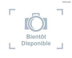 Appartement à louer, 51m², Les Herbiers