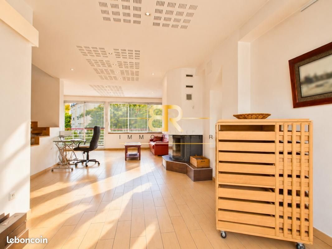 Maison à vendre, 323m², Joinville-le-Pont